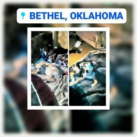 Profile Picture of Joshua Steve (@joshuasteve) on Poshmark