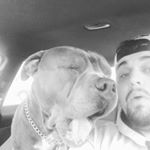 Alex Galanis - Instagram Profile Picture of Alex Galanis (@poseidonsson55) on Instagram