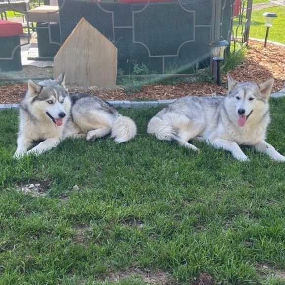 Profile Picture of Carolyn Fergusson (@carolynfergusso) on Poshmark