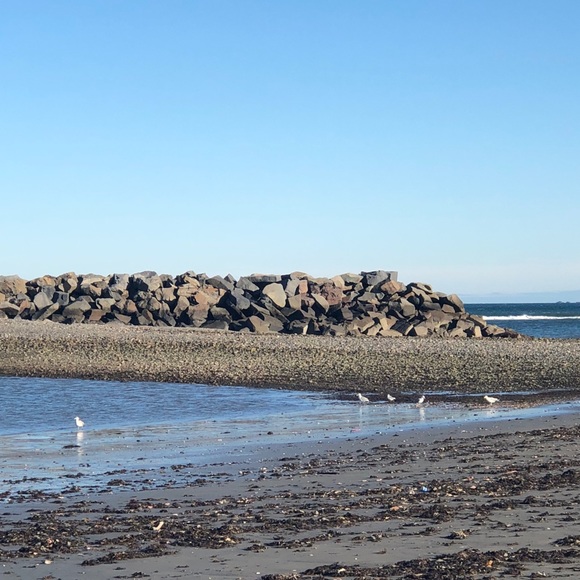 Profile Picture of Andreia Almeida (@deia0502) on Poshmark