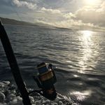 Profile Picture of Aaron Mabey (@fishingsavusavu) on Instagram