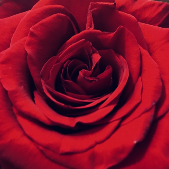 Profile Picture of Tori Roiger (@vlroiger) on Poshmark