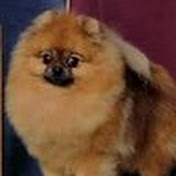 Profile Picture of Beverly Allen (@beverlyallen5896) on Youtube