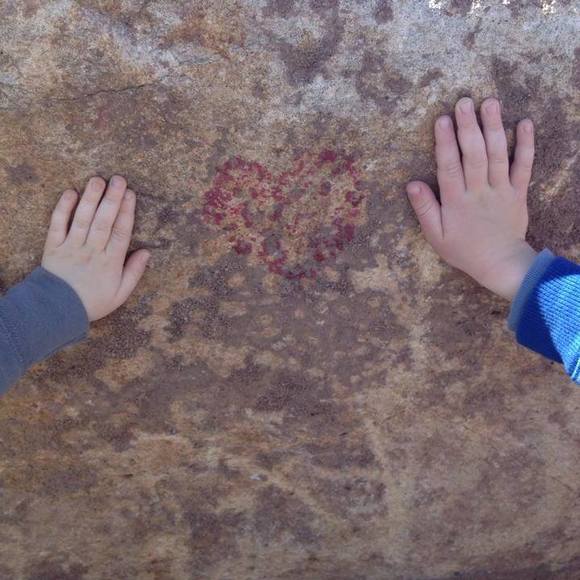 Profile Picture of Amy Hackmeier (@amyhack) on Poshmark