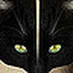 Lys Lydia Selimalhigazi - Flickr Profile Picture of Lys Lydia Selimalhigazi (@lys lydia) on Flickr