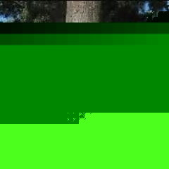 Profile Picture of John Quidachay (@176355277) on Myspace