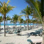 Profile Picture of Nora Paz (@nora.paz.2760) on Instagram