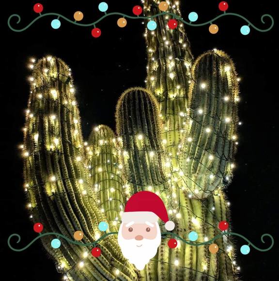 Sue Thornton - Poshmark Profile Picture of Sue Thornton (@flowerfreaks) on Poshmark