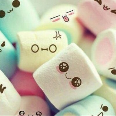 Profile Picture of Stella (@jon_stella) on Twitter