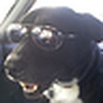 Profile Picture of Michael Stadler (@stadlerstudio) on Flickr