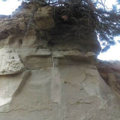 Profile Picture of Tim Hofer (@timber5) on Twitter