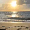 Profile Picture of Isi Ramirez (@isi.ramirez49) on Tiktok