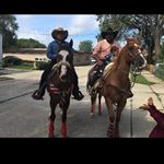 Profile Picture of Nicolas Pizano (@nicolas_pizano) on Instagram