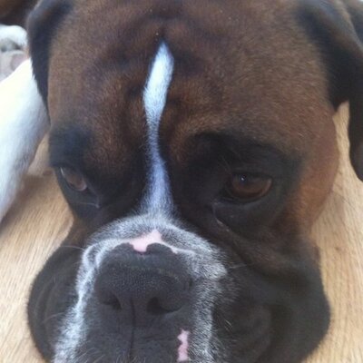 John Thorne - Twitter Profile Picture of John Thorne (@johnthorne69) on Twitter