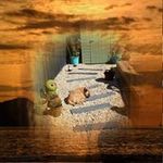 William Mc Knight - Instagram Profile Picture of William Mc Knight (@william.mcknight.3785) on Instagram