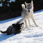 Profile Picture of Matthew supersport castaneda (@supersport_photos) on Instagram