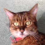 Profile Picture of Laura Mackintosh (@laura_mackintosh) on Instagram