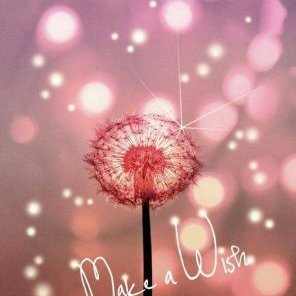 Profile Picture of Vicky Ayala (@vickyayala9) on Twitter