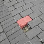 Profile Picture of Alex Mann (@caleb.martinelli.71) on Facebook