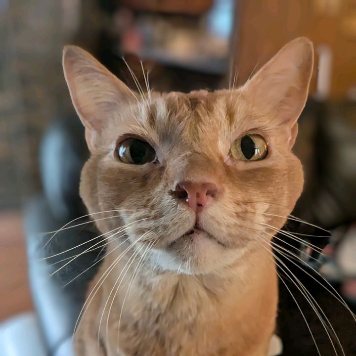Profile Picture of Jackson Riddle (@jacksonriddle2) on Tiktok