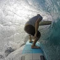 Profile Picture of david murata (@davidmurata1056) on Pinterest