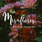 Profile Picture of Veerle Campens (@miraflores.gent) on Instagram