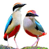 Profile Picture of Philip Gor Gor Chung (@philip-gor-gor-chung) on Quora