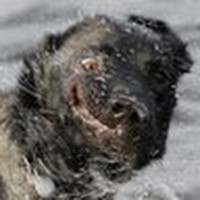 Profile Picture of John Scheurich (@john-scheurich) on Quora