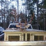 Profile Picture of Randy Godwin (@randy.godwin.902) on Instagram