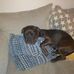 Profile Picture of Craig List (@craig.list.9615566) on Facebook
