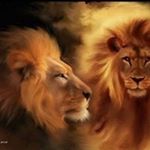 Profile Picture of robertlachowicz (@robertlacho) on Instagram