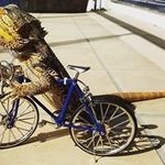 Profile Picture of Nathan Huey (@nathanhuey7609) on Instagram