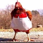 Profile Picture of Stuart Karpathy (@stuartthechicken) on Instagram