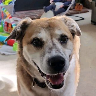 Profile Picture of Kevin Buchter (@kevinbuchter) on Tiktok