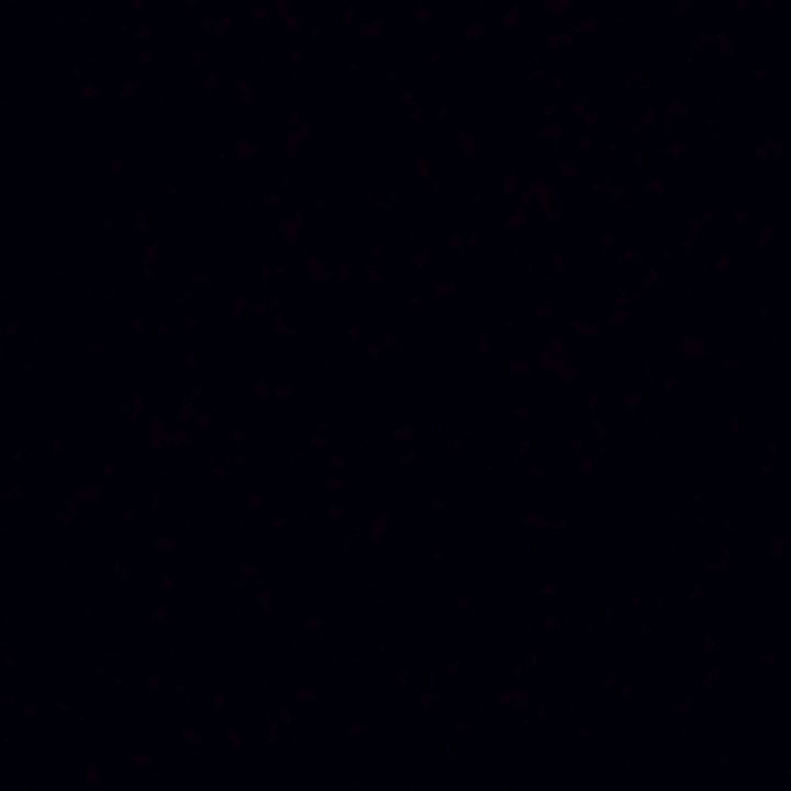 Profile Picture of Michael (@michael_tall) on Tiktok