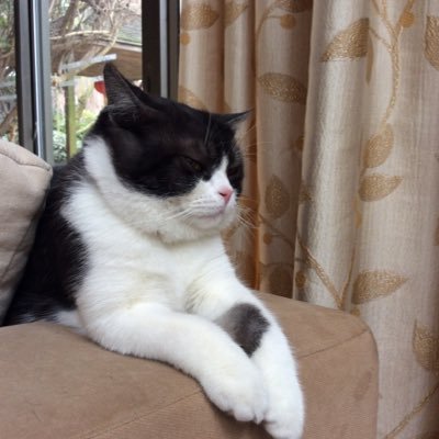 Profile Picture of Ashley♪ (@1072090178Ada) on Twitter