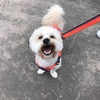 Profile Picture of AbbeyMackinnon (@@abbey.nana) on Tiktok