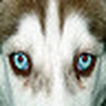 Profile Picture of Chad (@finnegan_again) on Flickr