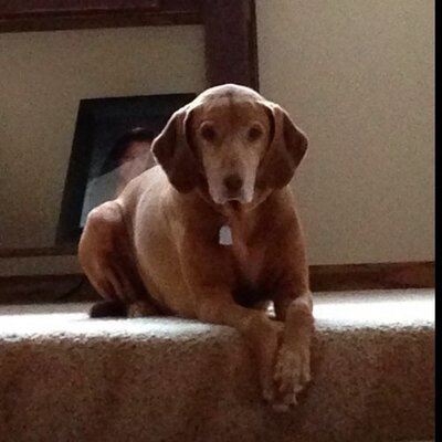 Profile Picture of Matt Nissen (@matt_mmttn4) on Twitter