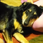 Profile Picture of Mitzi Graves (@mitzi.graves.1) on Facebook