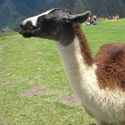 Profile Picture of Alexa Hoffman (@NYUAlexa) on Twitter