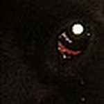 Profile Picture of Jorge De Juan Ballester (@jorge57j) on Flickr