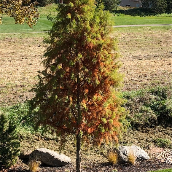 Profile Picture of Mark Hanigan (@mjhanigan) on Poshmark