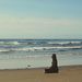 Profile Picture of Amy Curless (@adventuresofbearandbird) on Pinterest