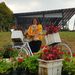 Profile Picture of Evelyn Givennia (@evelyngivennia) on Pinterest