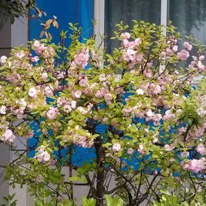 Profile Picture of Jingming Zhang (@jingming_zhang) on Twitter