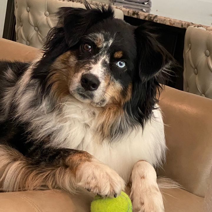 Profile Picture of Keeton “The Aussie” (@jefferyhassel) on Tiktok