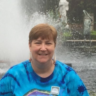 Profile Photo of Diane Hays (@hayscarver) on Twitter