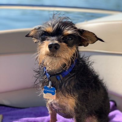 Profile Picture of Robert Engelen (@engelen_robert) on Twitter