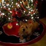 Profile Picture of Dawn Quinlan (@quinlandawn) on Instagram